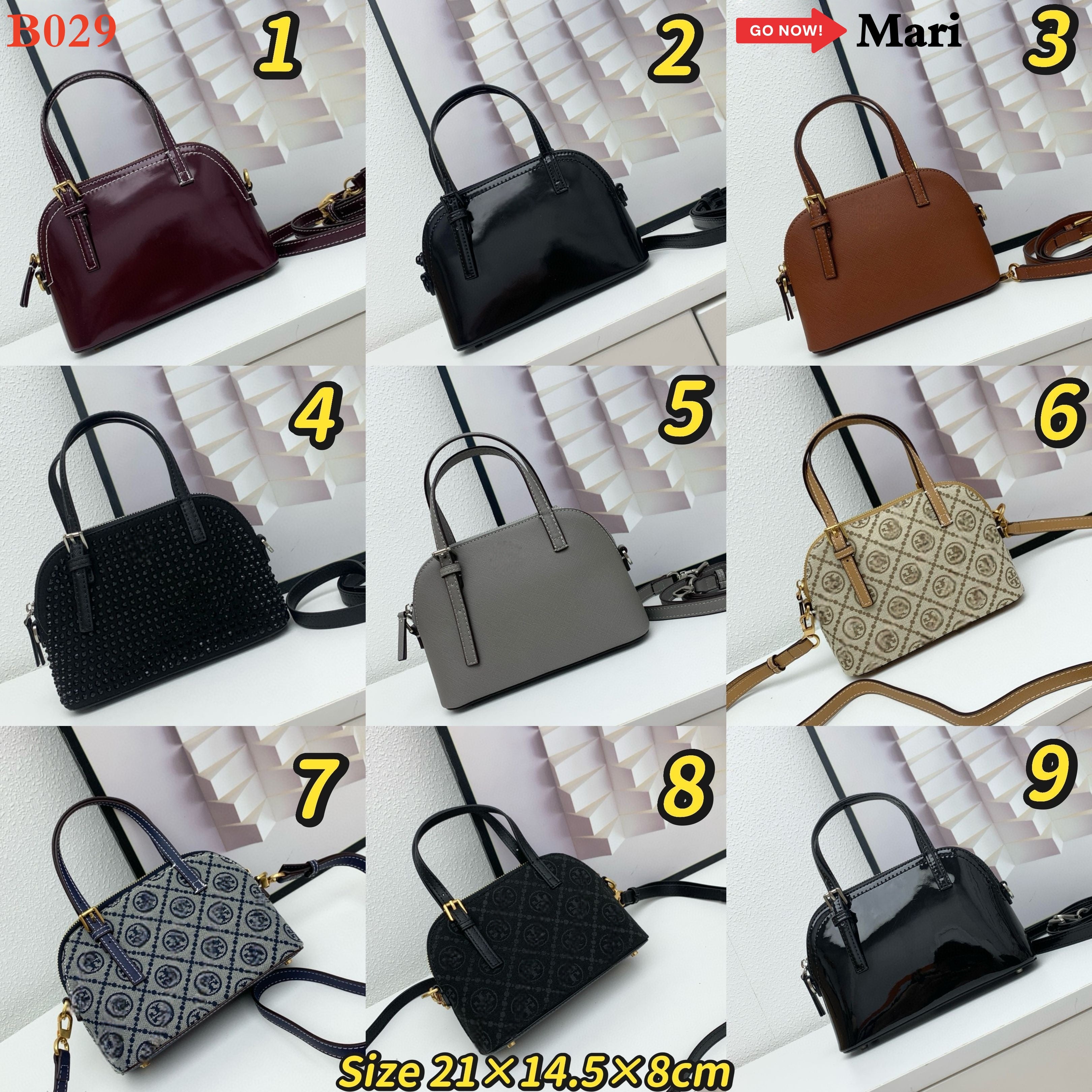 B029  Bag