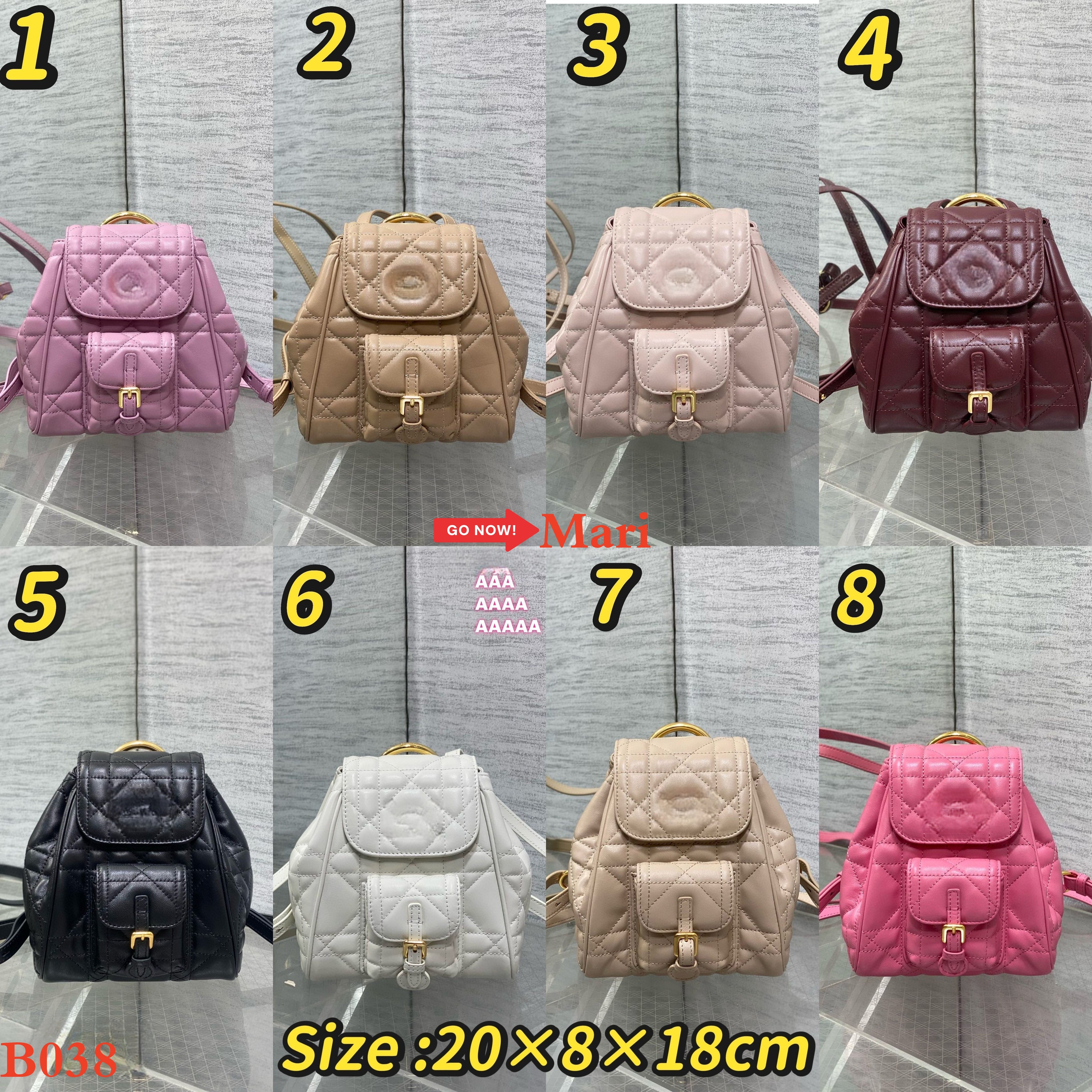 B038  Caro series bags