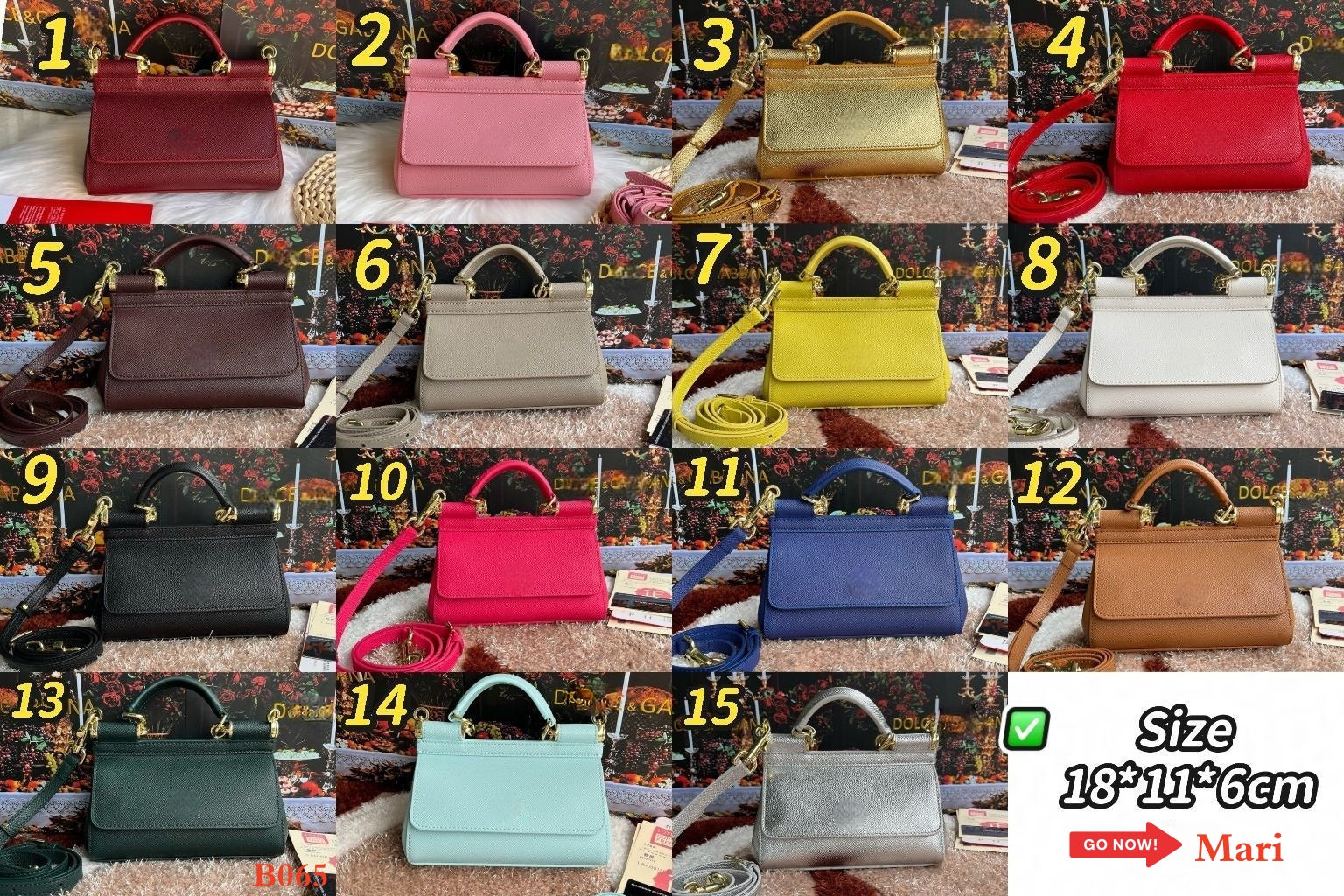 B065   Bag