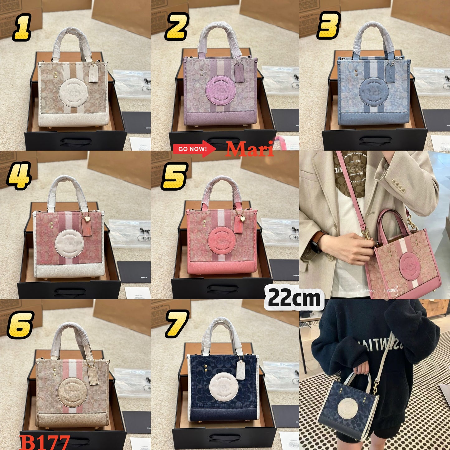 B177   Tote bag