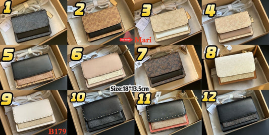 B179   Klare Accordion Bag