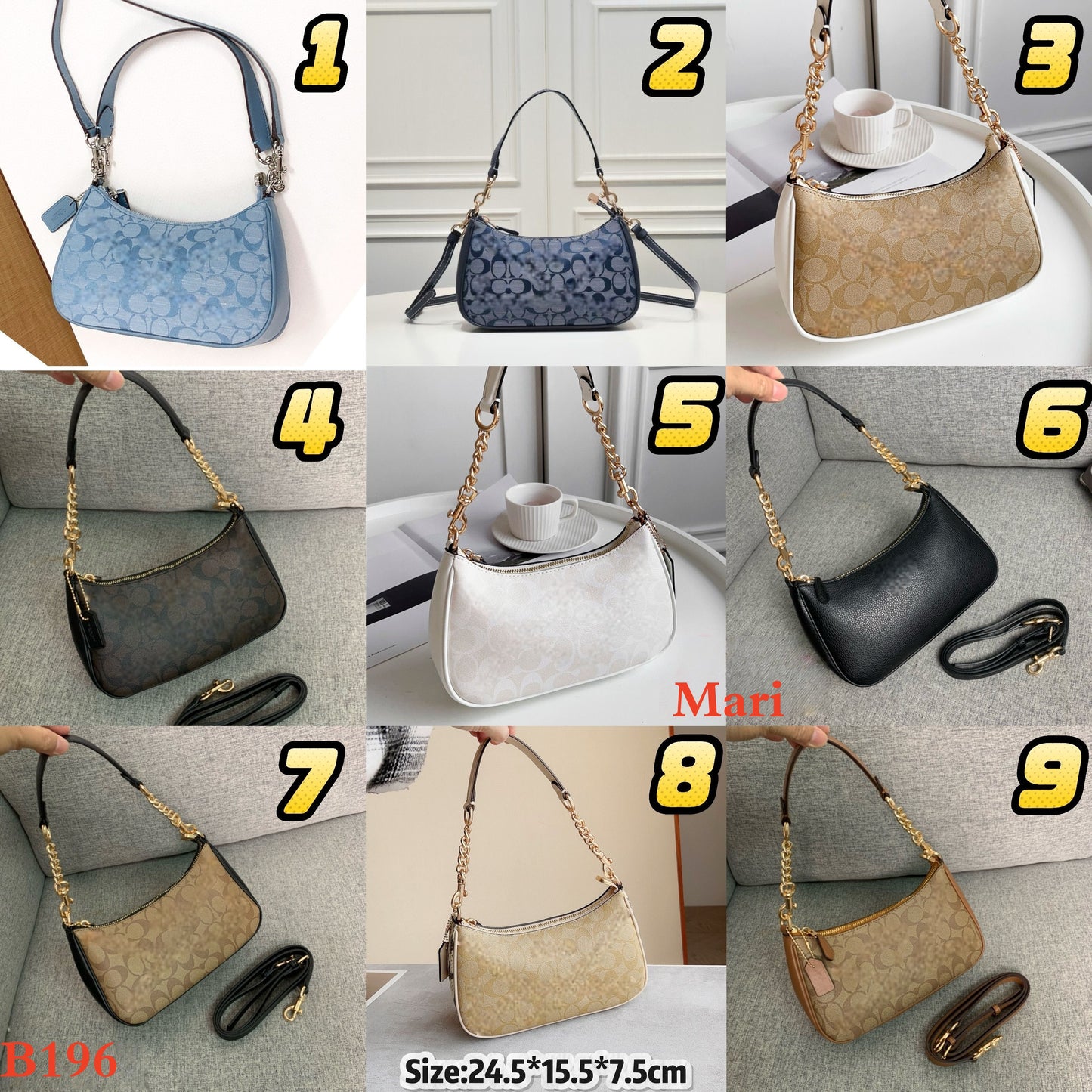 B196  Chambray series bags