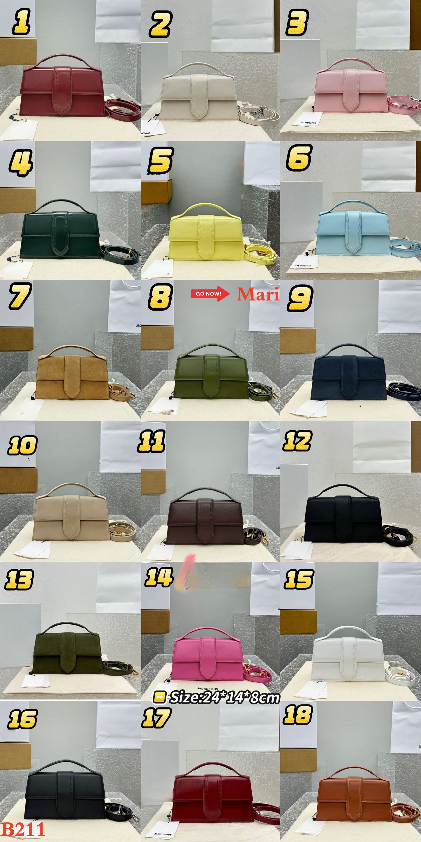 B211  Bag