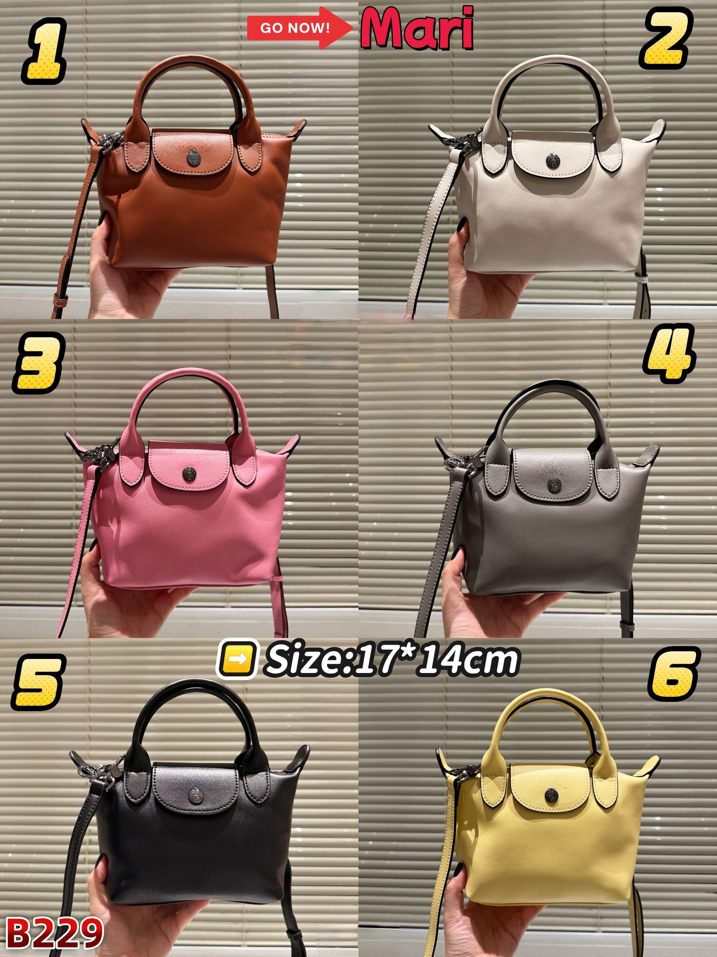 B229   mini leather bag