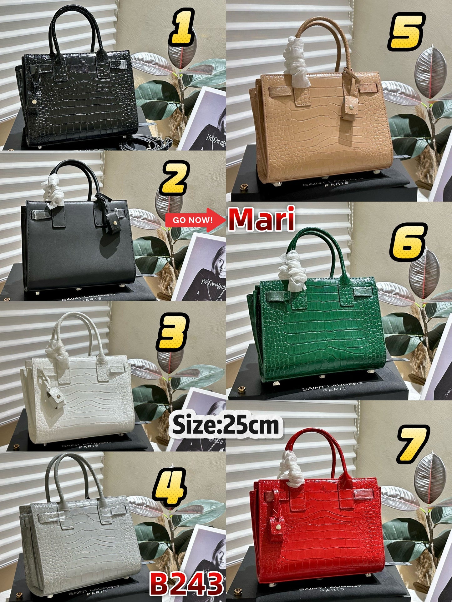 B243   handbag