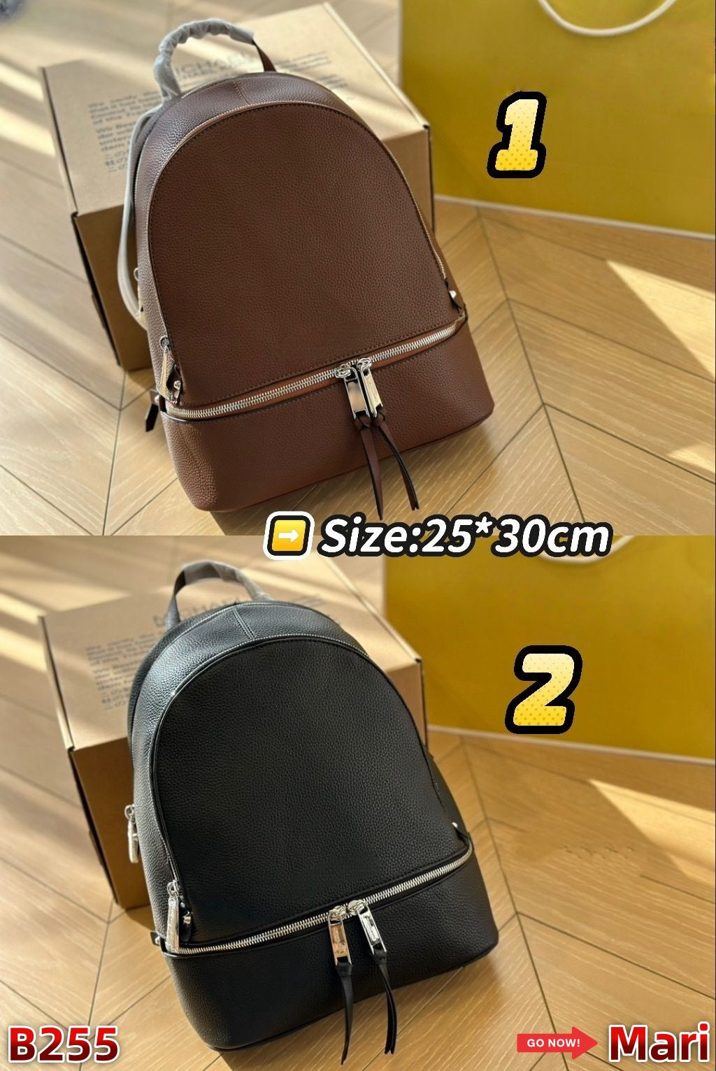 B255   backpack