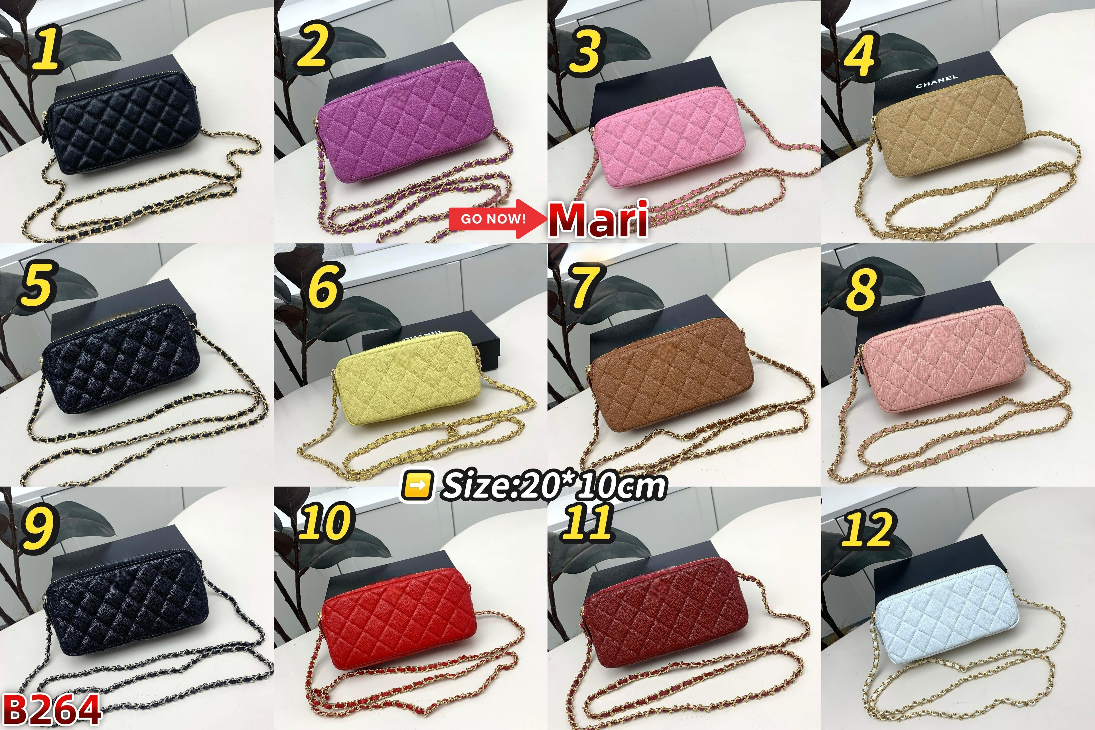 B264   Bag