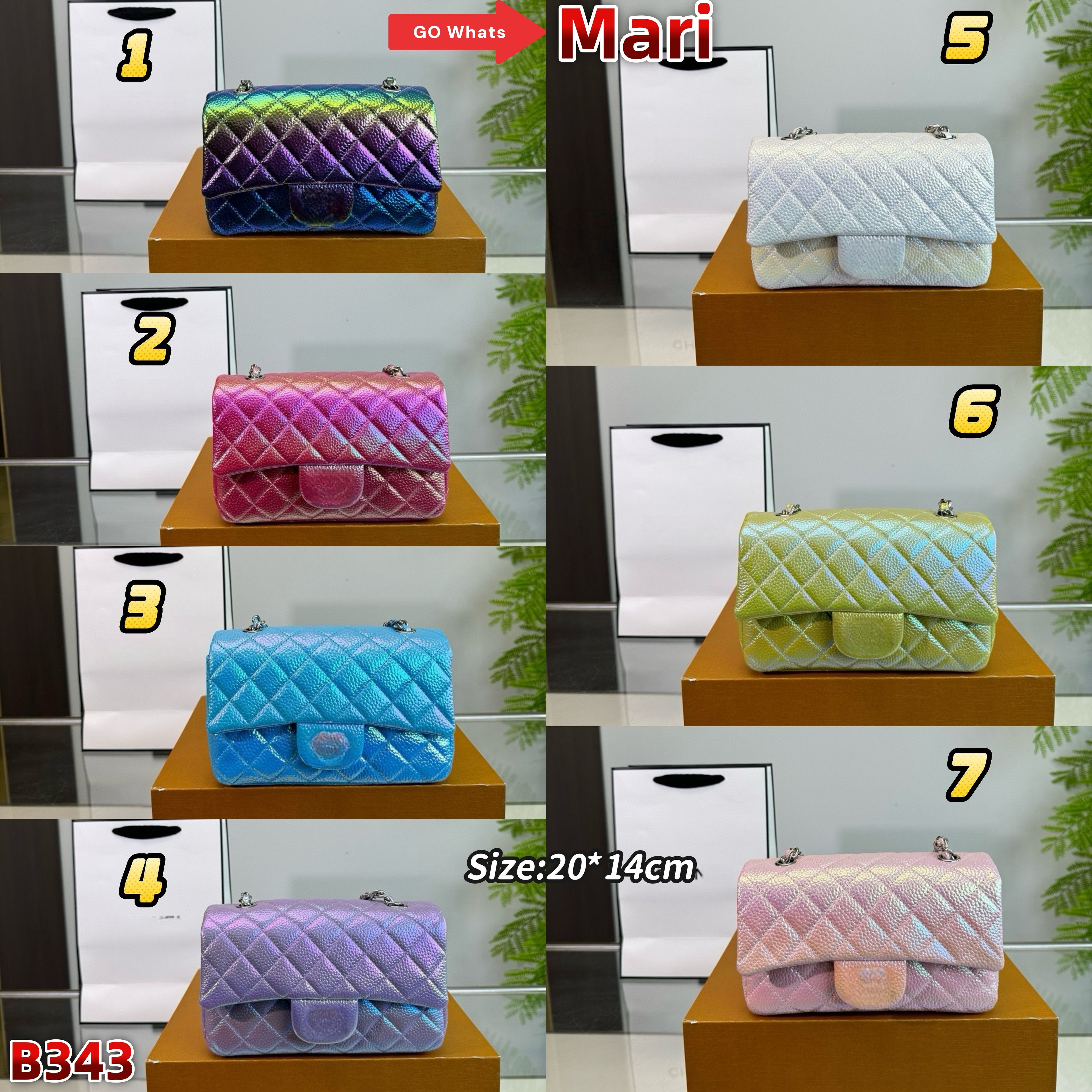 B343  Mini chain bag CF