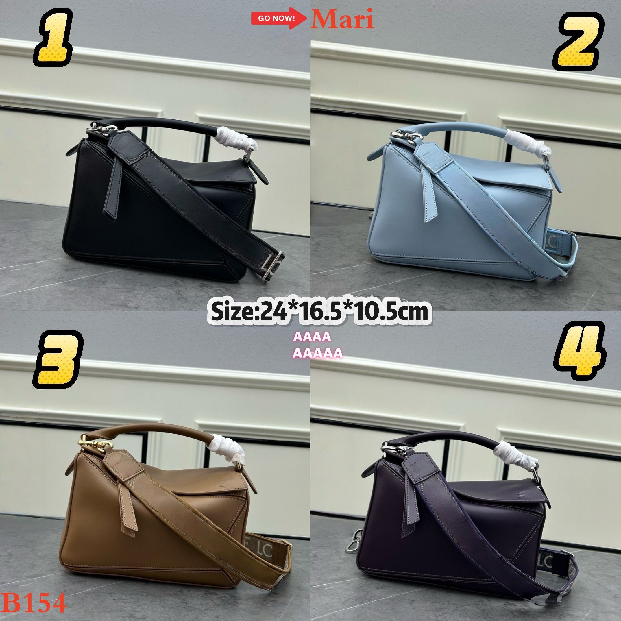 B154   Bag