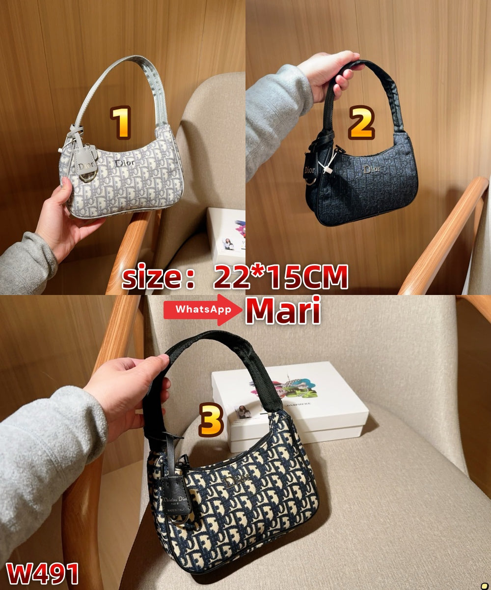 W491  Mini underarm bag