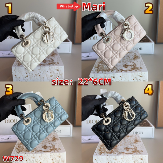 W729  Lady Dior bag